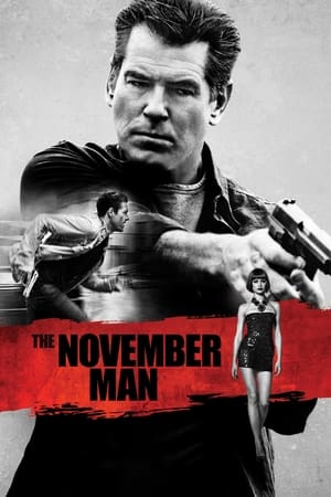 The November Man 2014 Dual Audio [Hindi - English] 350MB Movie Poster