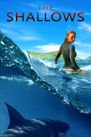 The Shallows 2016 Dual Audio (Hindi) [1GB]
