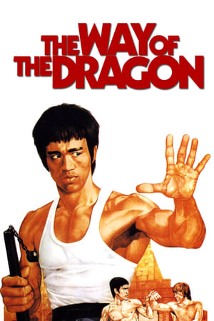 The Way of the Dragon (1972) Hindi Dual Audio 300MB Movie Poster