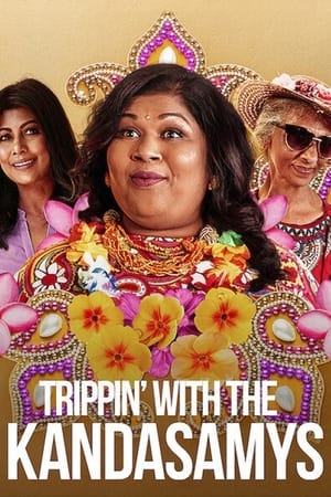 Trippin with the Kandasamys 2021 Hindi Dual Audio [850MB] Movie Poster