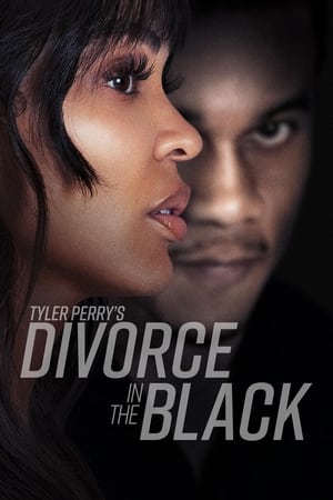 Tyler Perry’s Divorce in the Black (2024) Hindi Dual Audio – 720p – Movie Poster