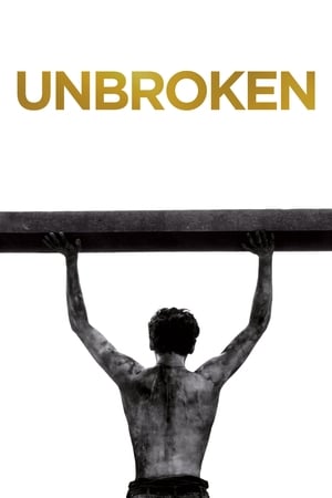 Unbroken (2014) Hindi Dual Audio [1.2GB] Movie Poster