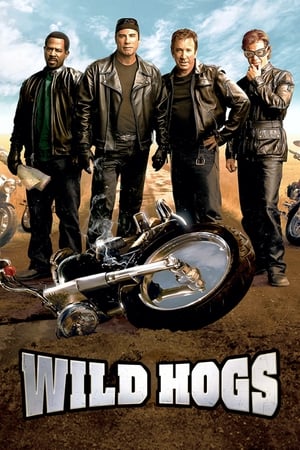 Wild Hogs (2007) Hindi Dual Audio 340MB Movie Poster